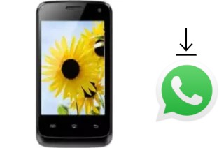 How to install WhatsApp in a Maximus max12