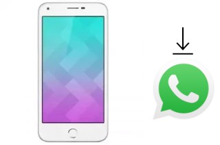 How to install WhatsApp in a Maxtron V17