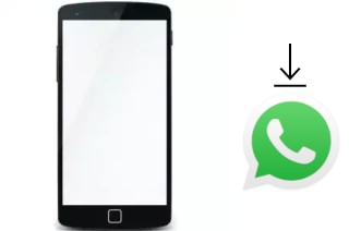 How to install WhatsApp in a MeanIT MG481