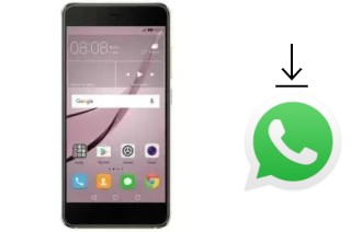 How to install WhatsApp in a Meeg 210R