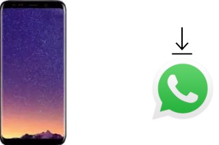 How to install WhatsApp in a Meiigoo S8