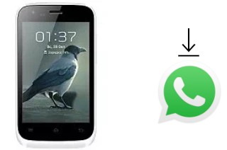 How to install WhatsApp in a Micromax Bolt A62