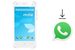 How to install WhatsApp in a Miia MP-410