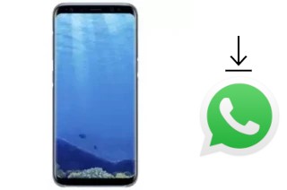 How to install WhatsApp in a Mione Mix 9 Pro