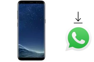 How to install WhatsApp in a Mione Mix 9