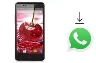 How to install WhatsApp in a MLais Mlais MX58 Air