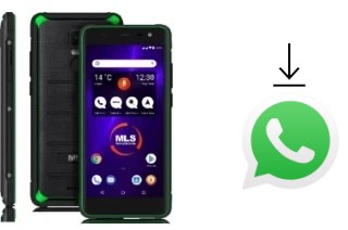 How to install WhatsApp in a MLS Apollo P10