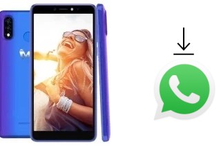 How to install WhatsApp in a Mobicel  R4