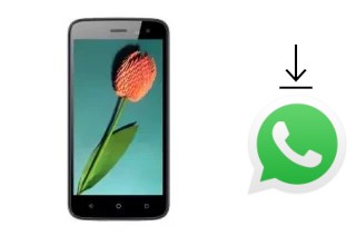 How to install WhatsApp in a Mobiola Wave 5