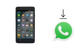 How to install WhatsApp in a Moii E893