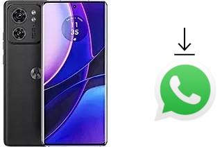 How to install WhatsApp in a Motorola Edge (2023)