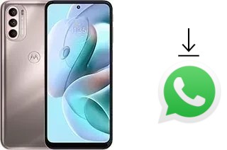 How to install WhatsApp in a Motorola Moto G41