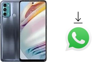 How to install WhatsApp in a Motorola Moto G60