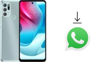 How to install WhatsApp in a Motorola Moto G60S