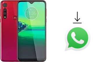 How to install WhatsApp in a Motorola Moto G8 Play