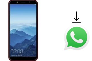 How to install WhatsApp in a Movic F6003