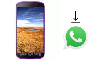 How to install WhatsApp in a MTO MK399