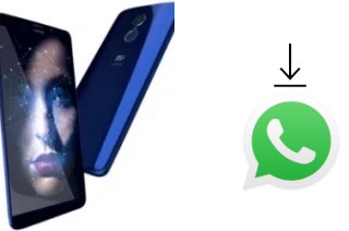 How to install WhatsApp in a MyPhone Prime 18x9 LTE