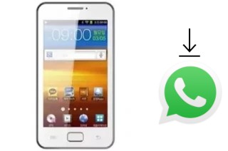 How to install WhatsApp in a Neoson X901