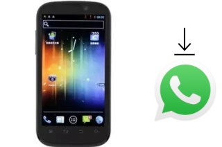 How to install WhatsApp in a Newman N1