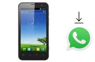 How to install WhatsApp in a Newman N2