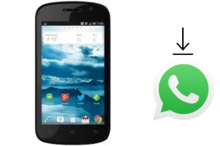 How to install WhatsApp in a Nexian MI432