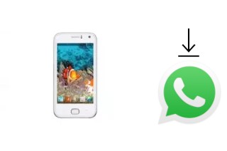 How to install WhatsApp in a NGM Absolute