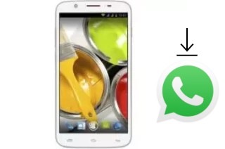 How to install WhatsApp in a NGM Dynamic Wide