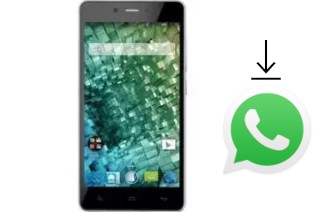 How to install WhatsApp in a NGM Forward Endurance