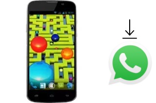 How to install WhatsApp in a NGM Forward Escape