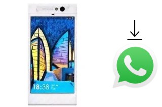 How to install WhatsApp in a NGM Forward Next