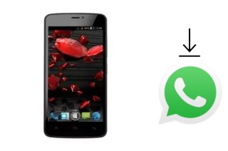 How to install WhatsApp in a NGM Forward Ruby