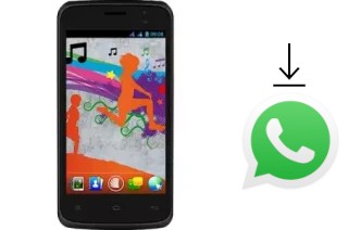 How to install WhatsApp in a NGM Forward Run