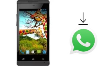 How to install WhatsApp in a NGM Forward Young