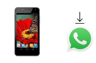 How to install WhatsApp in a NGM Legend2