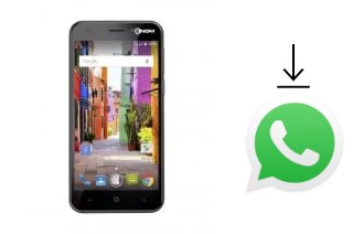 How to install WhatsApp in a NGM P508