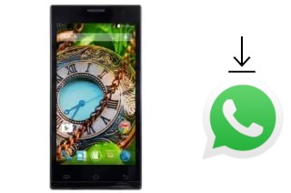 How to install WhatsApp in a NGM Time