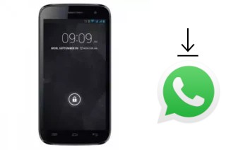 How to install WhatsApp in a Ninetology I9501