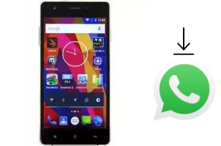 How to install WhatsApp in a Nipda Depression Z5