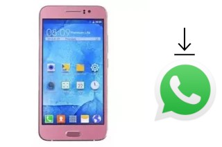 How to install WhatsApp in a Nipda Hurricane A8