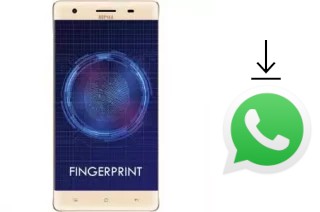 How to install WhatsApp in a Nipda Tsunami-F9