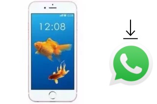 How to install WhatsApp in a Nipda Tsunami IP6