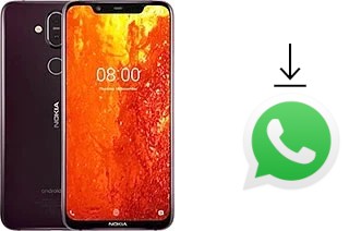 How to install WhatsApp in a Nokia 8.1 ( X7)