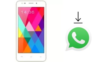 How to install WhatsApp in a Nova Wow 1