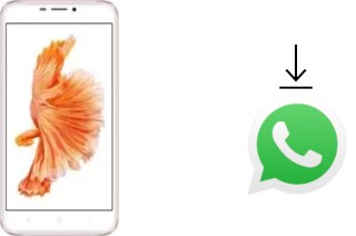 How to install WhatsApp in an Oukitel U20 Plus