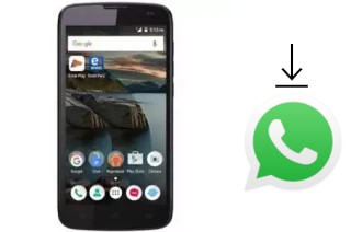 How to install WhatsApp in an Own Smart Value