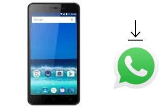 How to install WhatsApp in a PCD 509