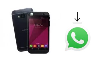 How to install WhatsApp in a Phonix Mobile P3