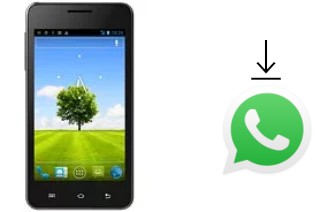 How to install WhatsApp in a Plum Axe