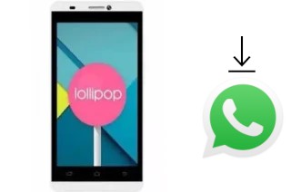 How to install WhatsApp in a Polytron R2502